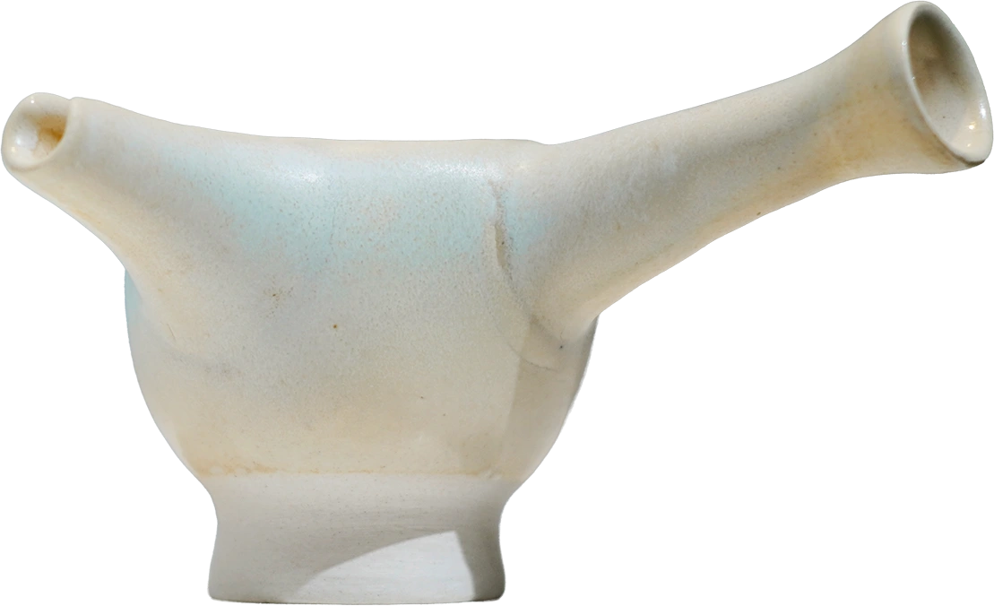 鸟-02